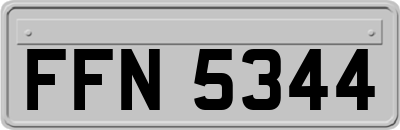 FFN5344