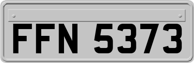 FFN5373