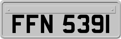 FFN5391