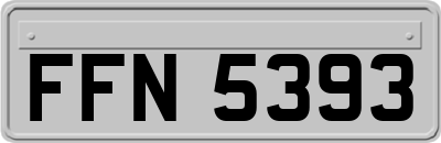 FFN5393