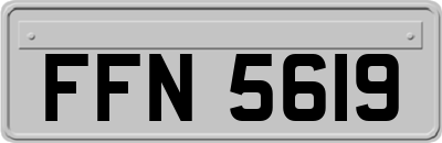 FFN5619