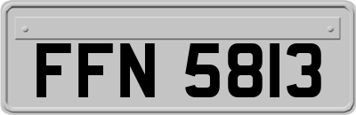 FFN5813