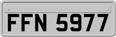 FFN5977