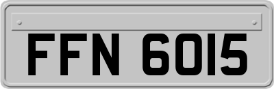 FFN6015