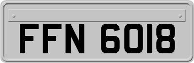 FFN6018