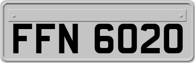 FFN6020