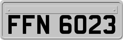 FFN6023