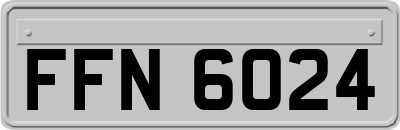 FFN6024