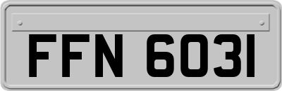 FFN6031