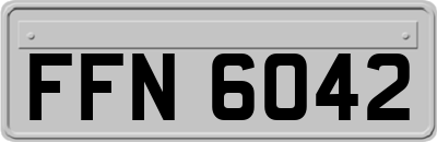 FFN6042