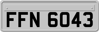 FFN6043