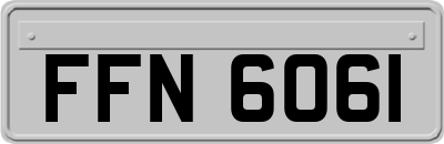 FFN6061