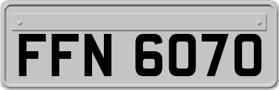FFN6070