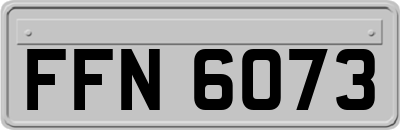 FFN6073