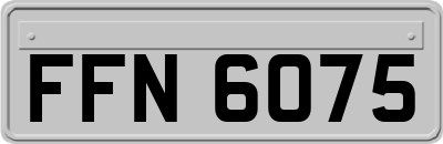 FFN6075
