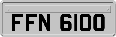 FFN6100