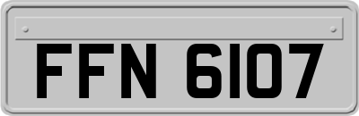 FFN6107