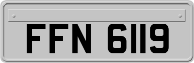 FFN6119