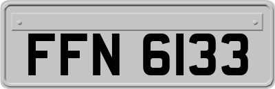 FFN6133