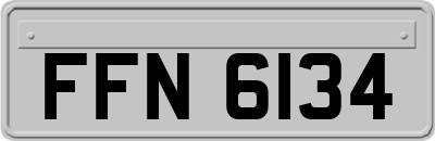 FFN6134