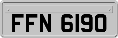 FFN6190