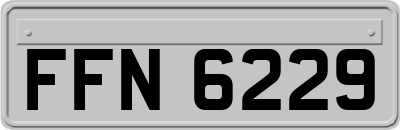 FFN6229
