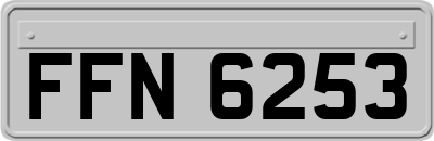 FFN6253