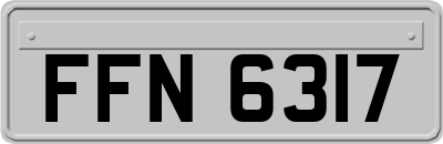 FFN6317