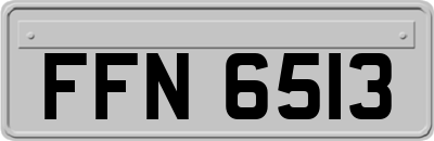 FFN6513