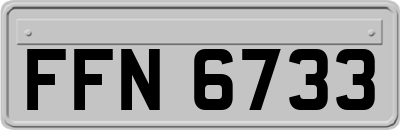FFN6733
