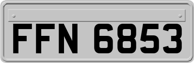 FFN6853
