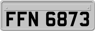 FFN6873