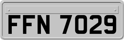 FFN7029