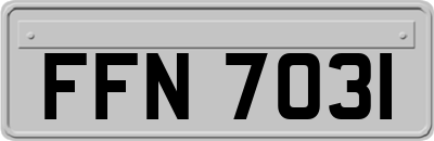 FFN7031
