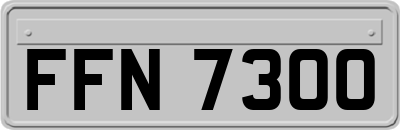 FFN7300