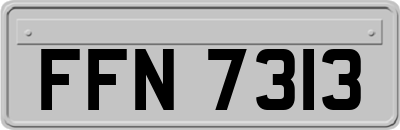 FFN7313