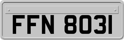 FFN8031