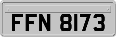 FFN8173