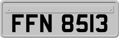 FFN8513