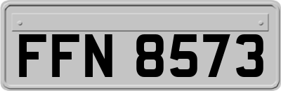 FFN8573
