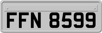 FFN8599