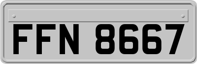 FFN8667