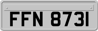 FFN8731
