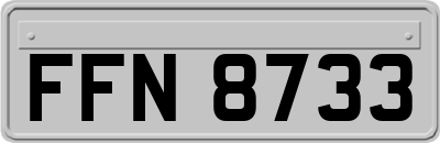 FFN8733