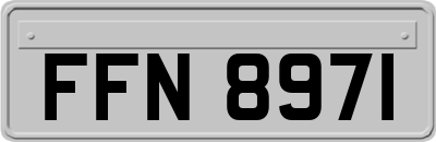 FFN8971