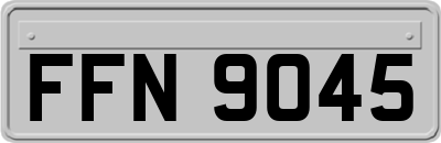 FFN9045