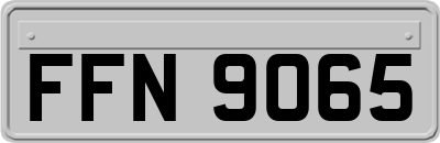 FFN9065