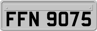 FFN9075