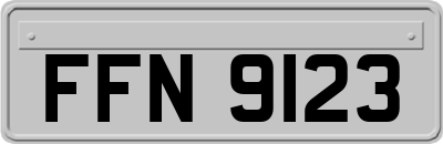 FFN9123