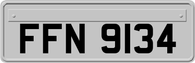 FFN9134